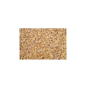 Owies dla gołębi, papug, gryzoni 1kg